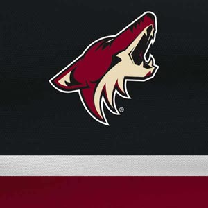 NHL Arizona Coyotes Jersey Xbox 360 (Includes HDD) Skin